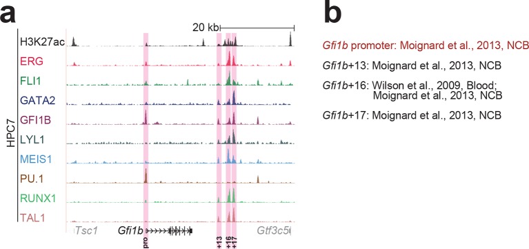 Figure 1—figure supplement 3.