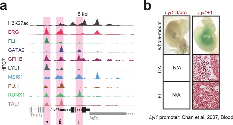 Figure 1—figure supplement 4.