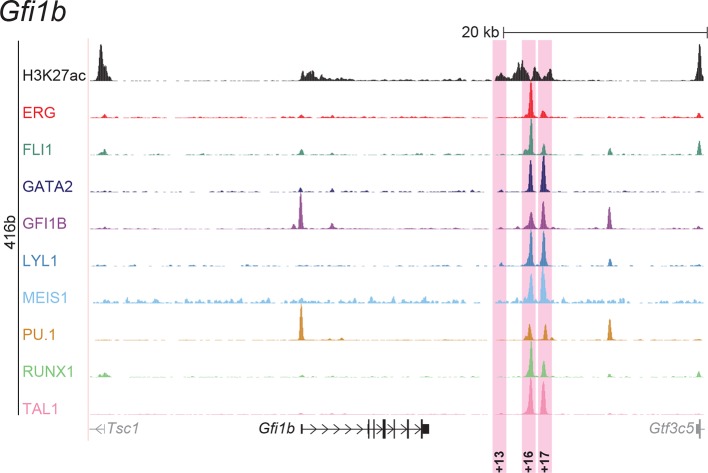 Figure 2—figure supplement 3.