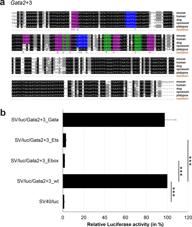 Figure 3—figure supplement 5.