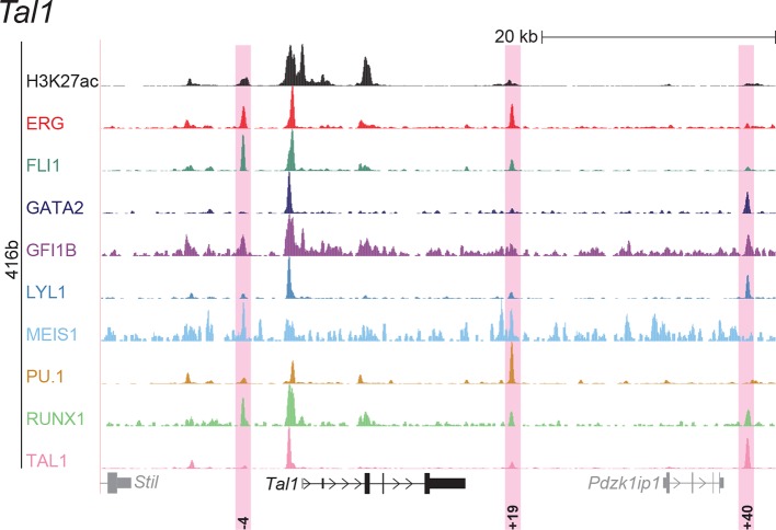 Figure 2—figure supplement 8.