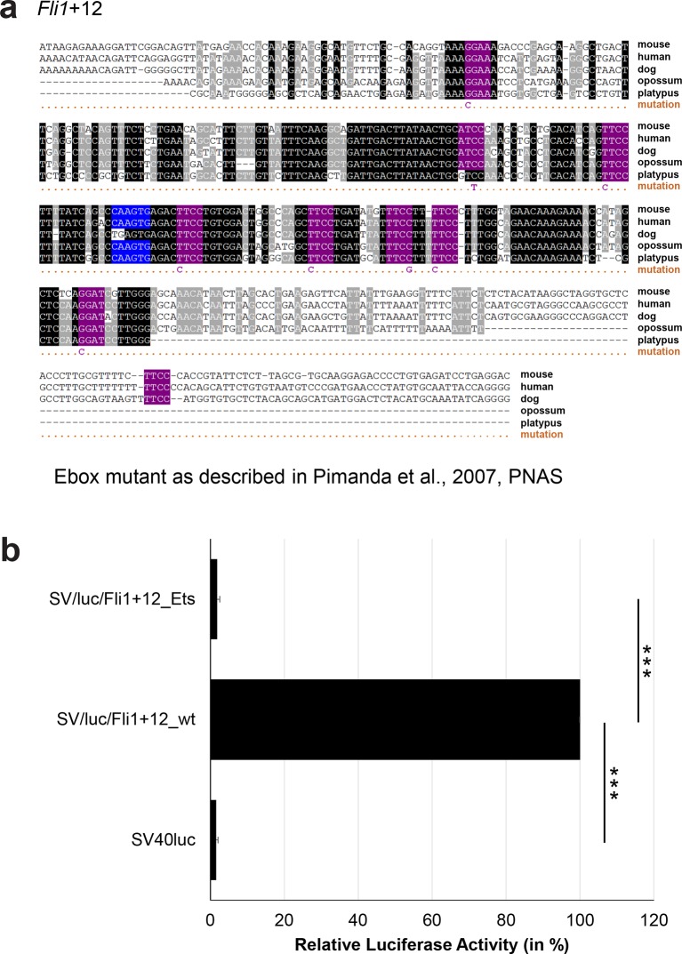 Figure 3—figure supplement 3.