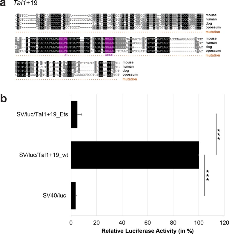 Figure 3—figure supplement 17.