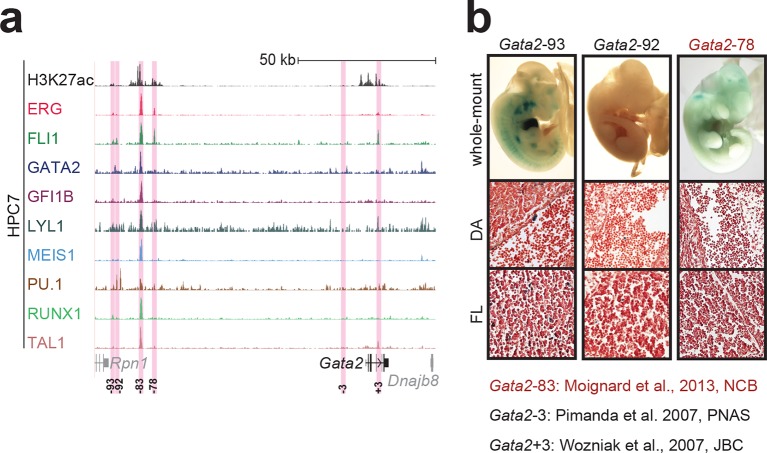 Figure 1—figure supplement 2.