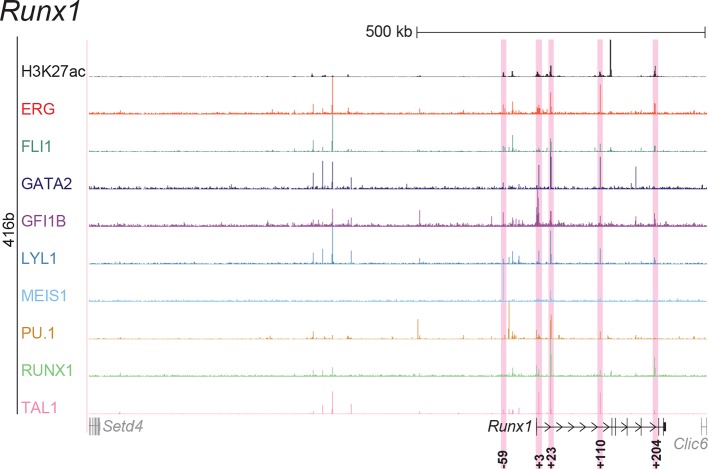 Figure 2—figure supplement 6.