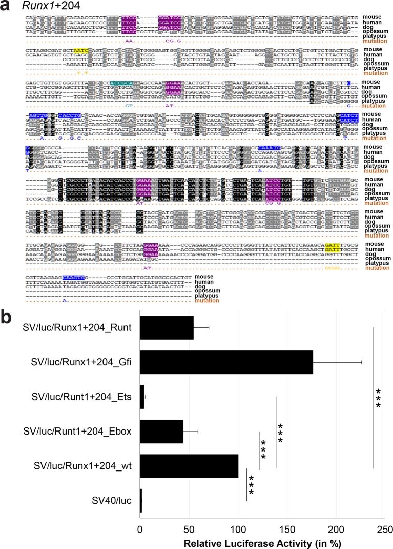 Figure 3—figure supplement 15.