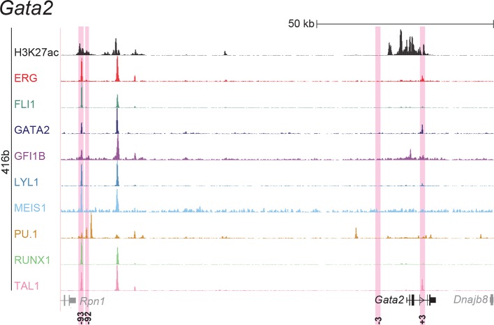 Figure 2—figure supplement 2.