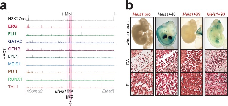 Figure 1—figure supplement 5.