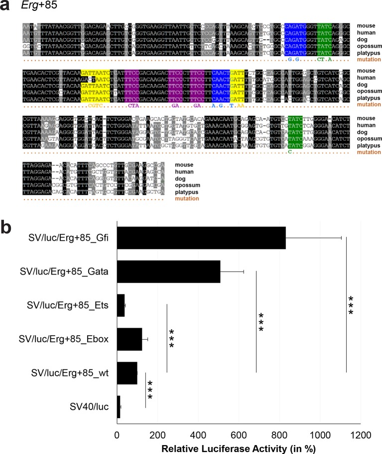 Figure 3—figure supplement 2.