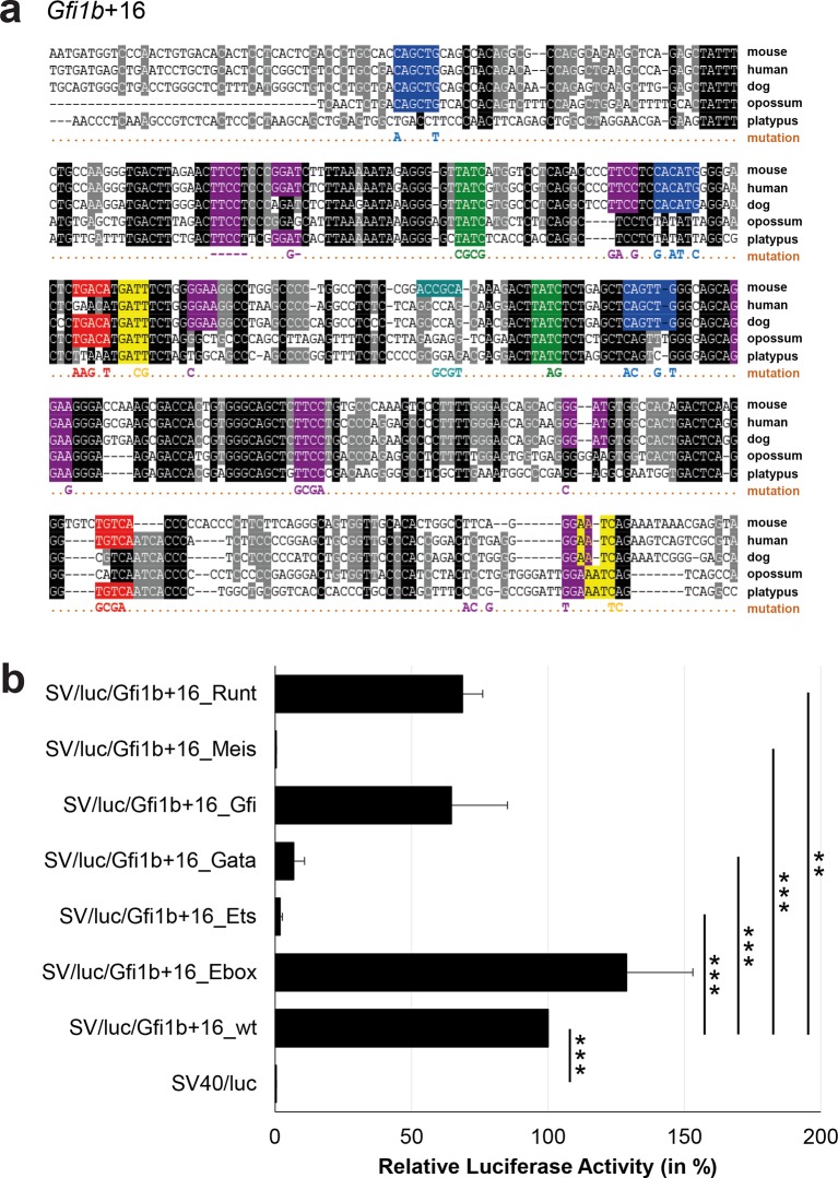 Figure 3—figure supplement 6.