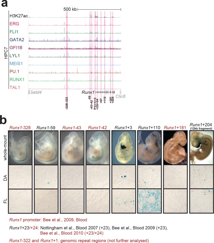 Figure 1—figure supplement 6.