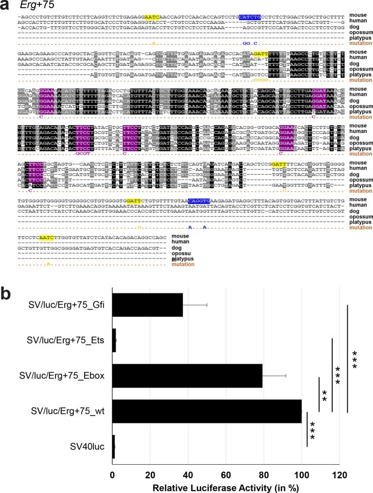 Figure 3—figure supplement 1.