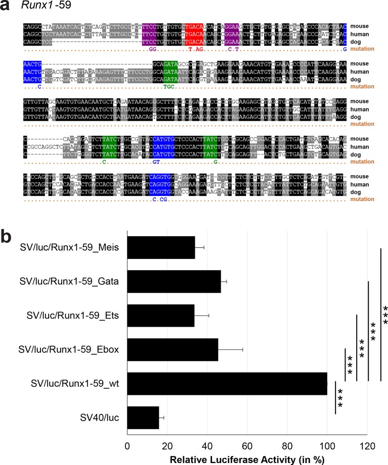 Figure 3—figure supplement 11.