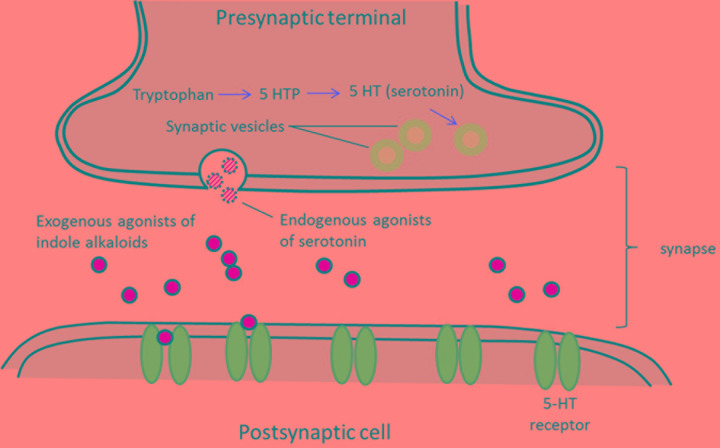 FIGURE 2