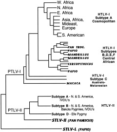 Figure 14