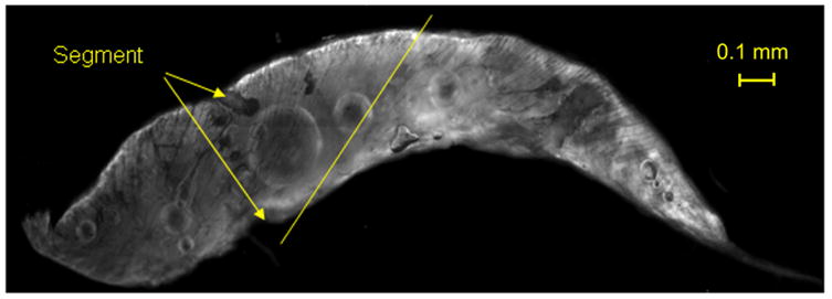 Figure 14