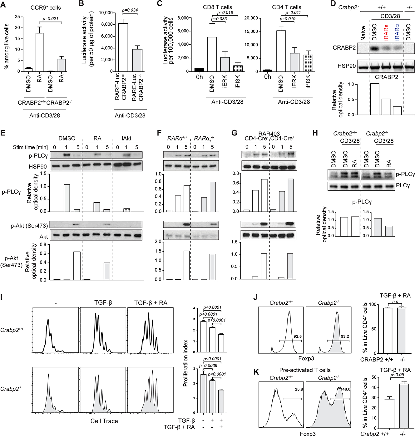 FIGURE 5: