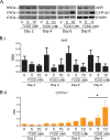 Supplementary Fig. I