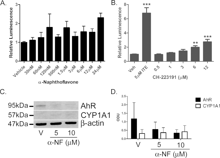 Supplementary Fig. IV