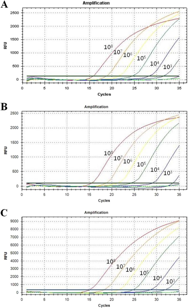 FIG 1