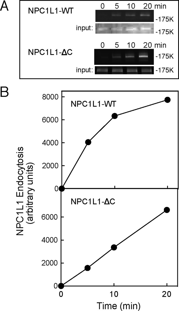 FIGURE 3: