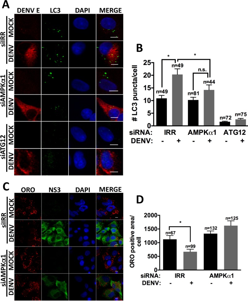 FIG 2