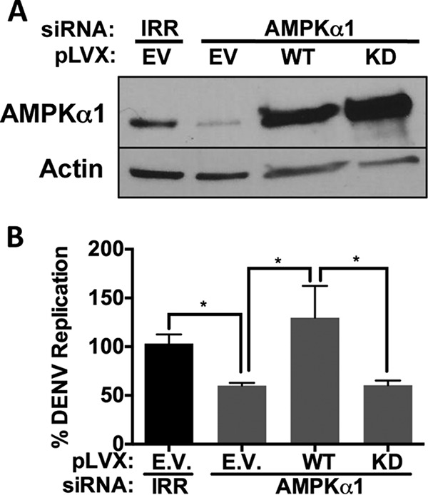 FIG 4