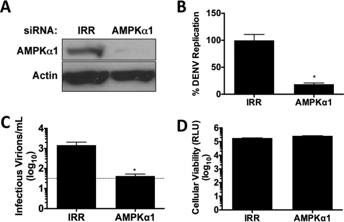 FIG 1