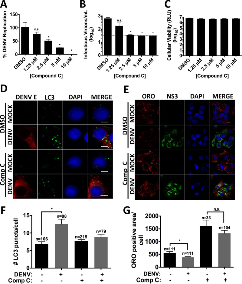 FIG 3