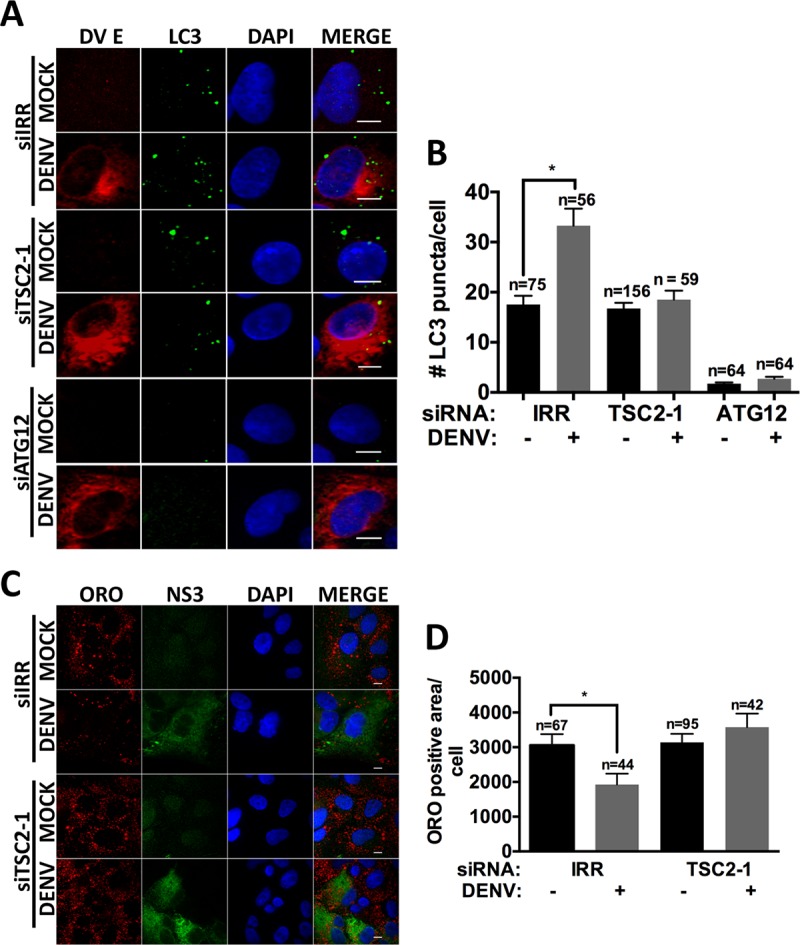 FIG 6