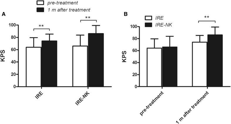 Fig. 4