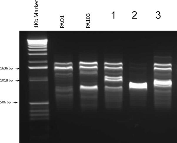 Figure 2