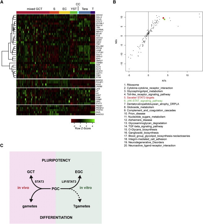 Figure 4