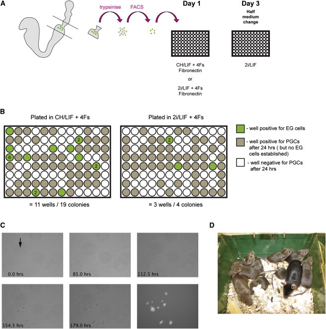 Figure 2