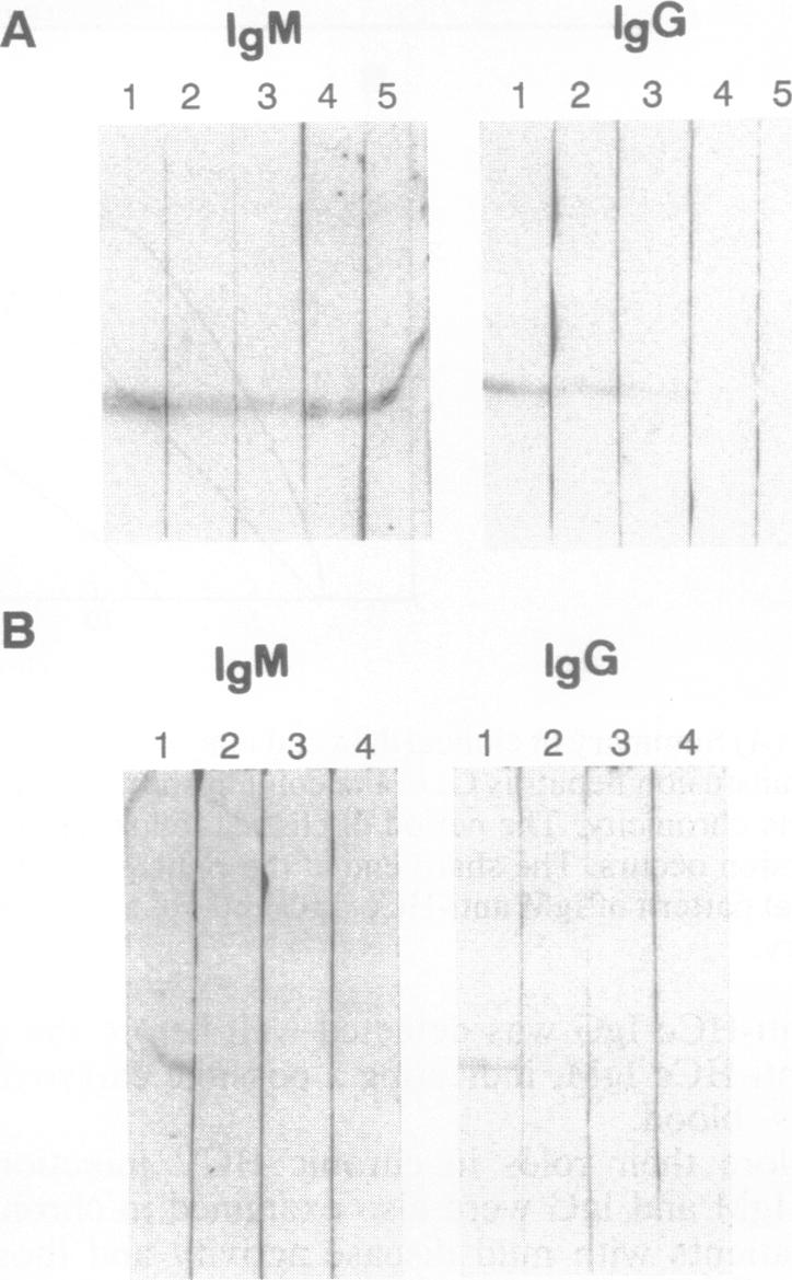 graphic file with name pnas01087-0283-a.jpg