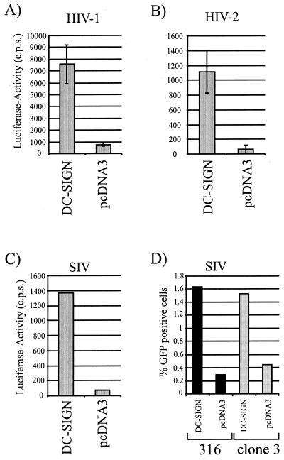 FIG. 6