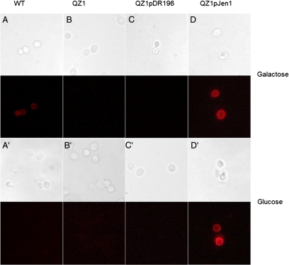 Figure 2.