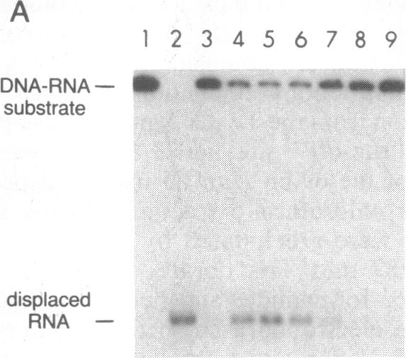 graphic file with name pnas01071-0348-a.jpg