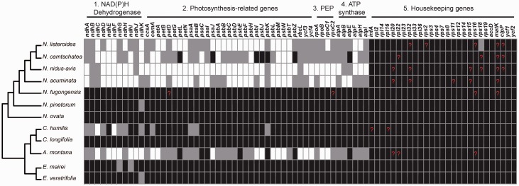 Fig. 4.—