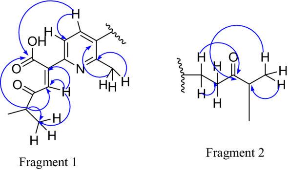 graphic file with name 41598_2021_89557_Figa_HTML.jpg