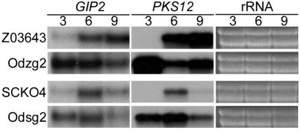 FIG. 7.