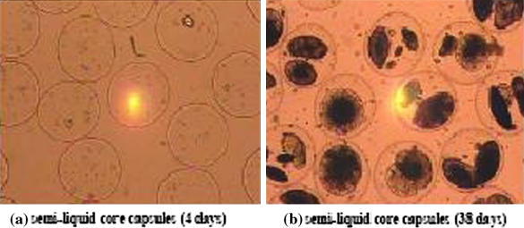 Fig. 7