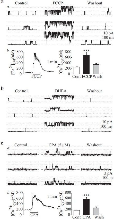 Figure 16