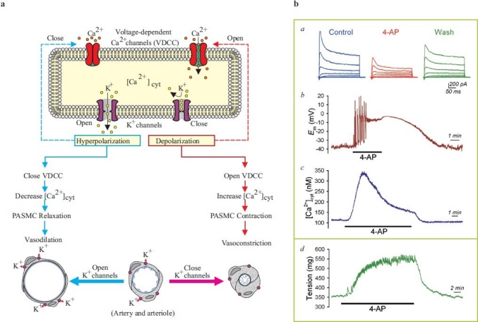 Figure 18