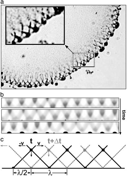 Fig. 4.