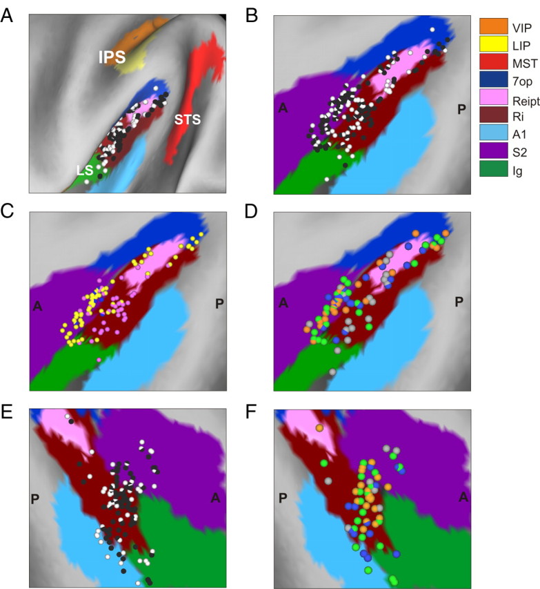 Figure 19.