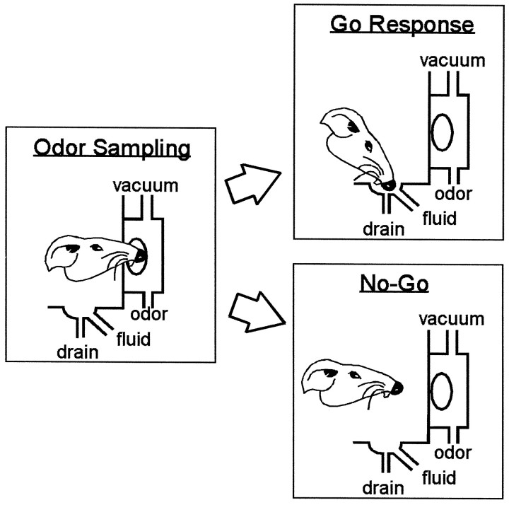 Fig. 1.