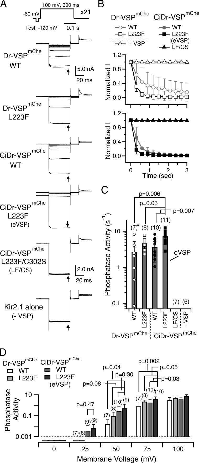 Figure 5.