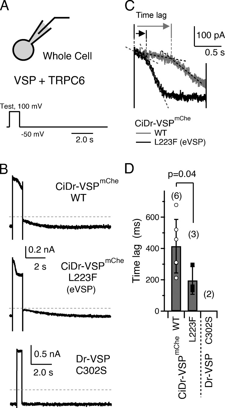 Figure 6.