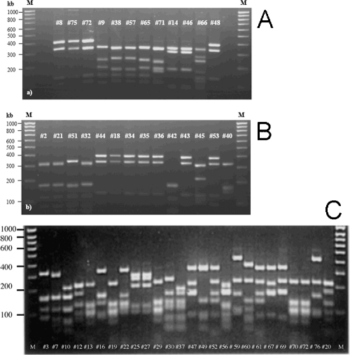 Supplementary Fig. I